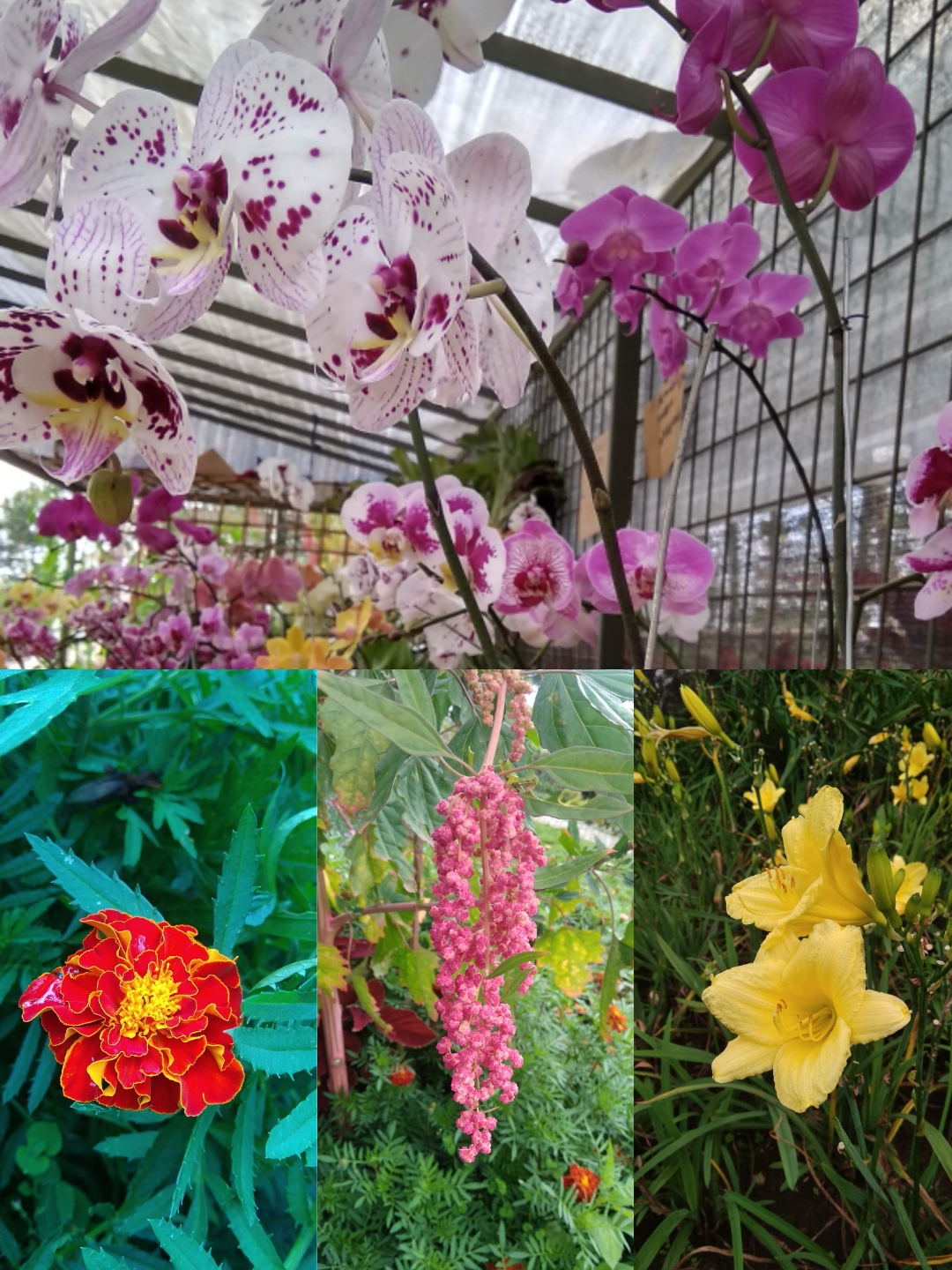 Wisata Bersama, Upaya Menjaga Kehangatan Keluarga (1) : Wisata Taman