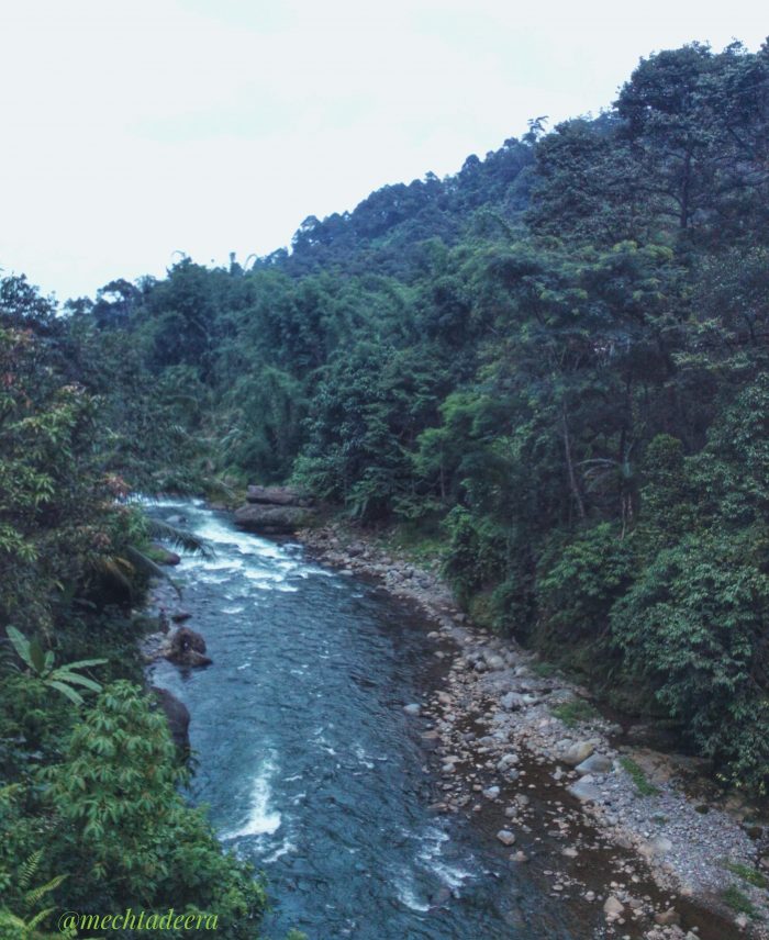 Hutan sumber air bersih