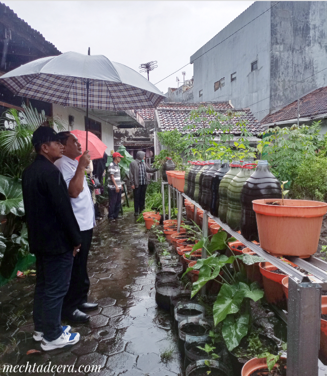 Kunjungan kebun