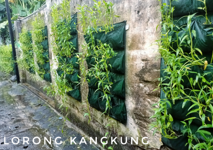 Lorong Kangkung